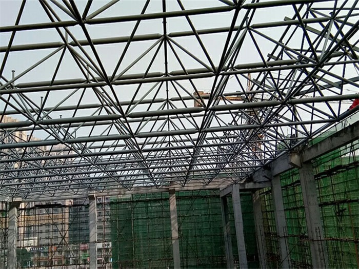 陇南光谷第十一小学网架